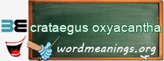 WordMeaning blackboard for crataegus oxyacantha